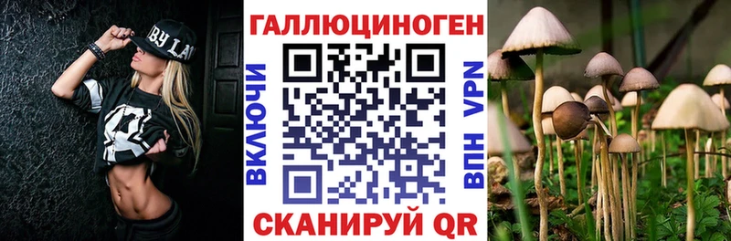 Псилоцибиновые грибы Psilocybine cubensis  купить наркотики цена  Безенчук 